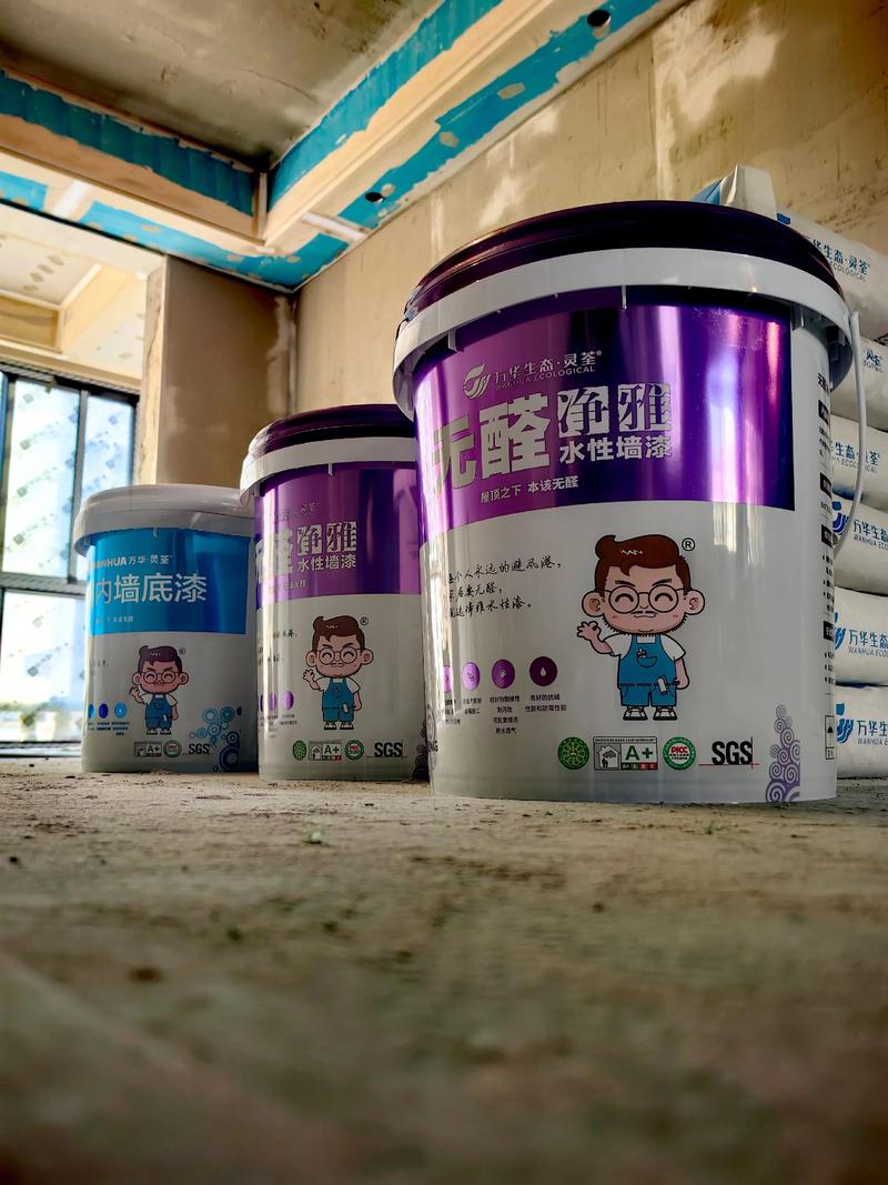 墙面漆市场新动态:谯城区墙面漆的创新与发展